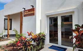 Casa Galapagos By Hostal Fragata